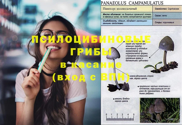 прущая мука Армянск